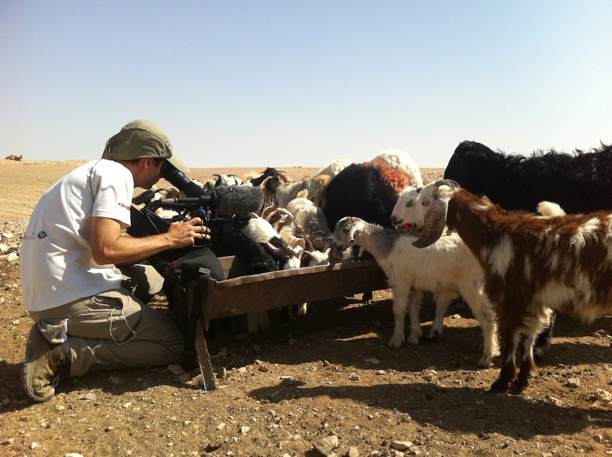 Filming goats in the Rashayda camp