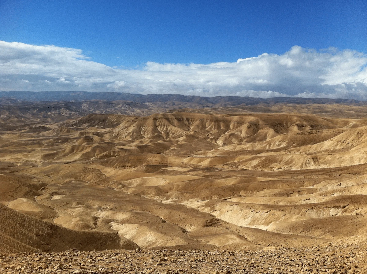 Wide view of the Judean Desert