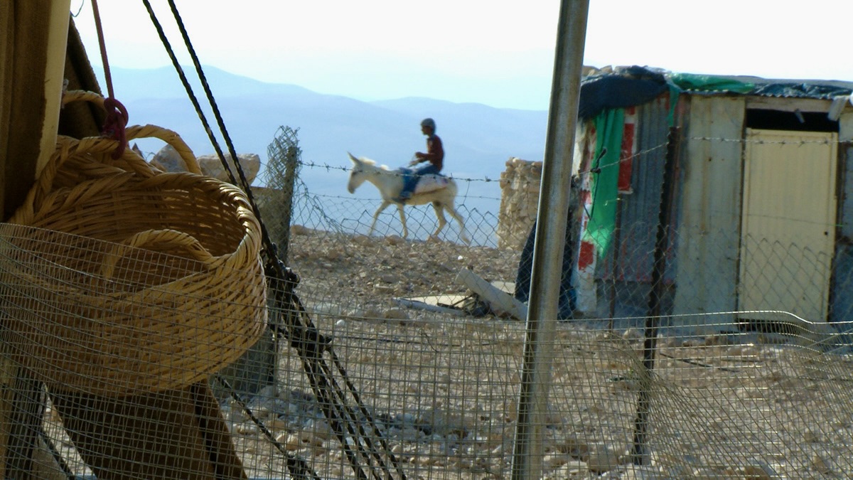 Bedouin boy on a donkey at the Rashayda camp